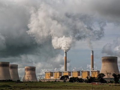 La contaminación puede alterar la fertilidad de generaciones futuras