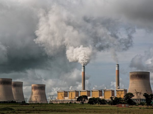 La contaminación puede alterar la fertilidad de generaciones futuras