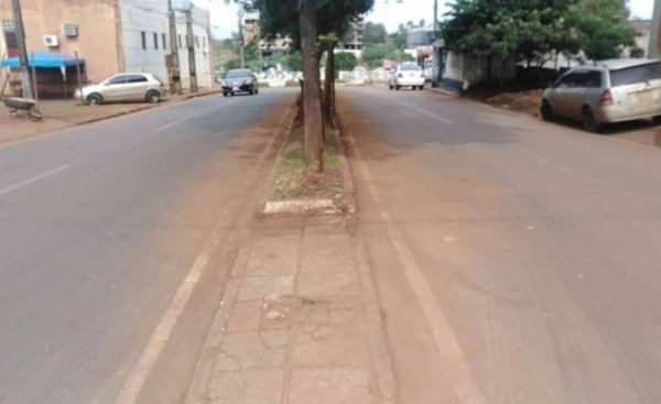 Vecinos organizados limpian y hermosean avenida del Km8