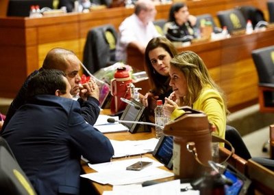 Cámara Baja define entre voto electrónico o papeleta - Edicion Impresa - ABC Color