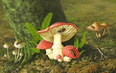 La simbiosis entre árboles y hongos es clave para la evolución del clima - Ciencia - ABC Color