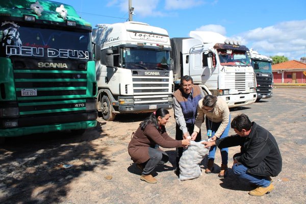 Distribuirán 245.000 kilos de semillas de papa a productores - ADN Paraguayo