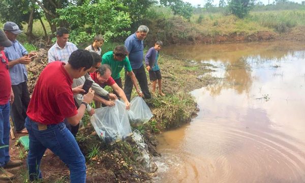 Habilitan 15 estanques con 1.500 peces juveniles en Puerto Indio