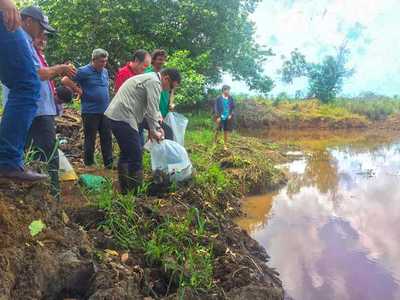 Habilitan 15 estanques con 1.500 peces juveniles en Puerto Indio - ADN Paraguayo