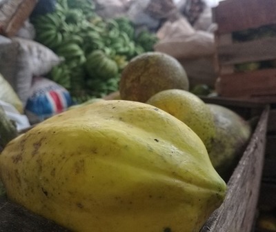 Campesinos donan más de 9.000 kg. de alimentos a damnificados