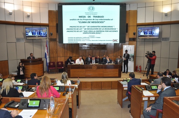 Presentan proyectos de leyes para proteger empleos e incentivar inversiones - ADN Paraguayo