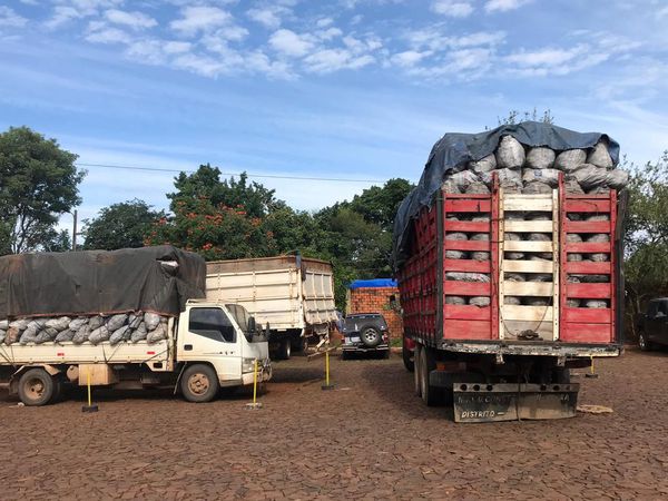 Fiscal imputó a dos hombres que traficaban rollos de madera
