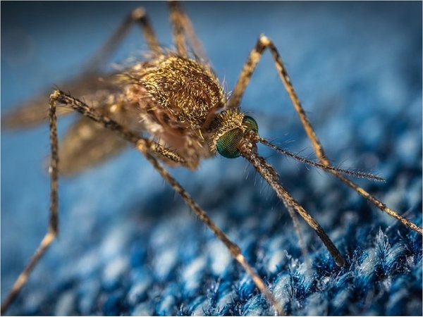 Investigan muerte de un niño por posible dengue