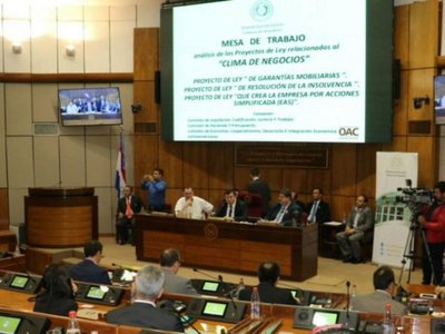 Registros Públicos cuestiona la ley de garantía mobiliaria