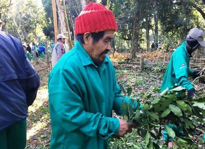 Presentarán documental “La reconquista de los bosques”, este viernes