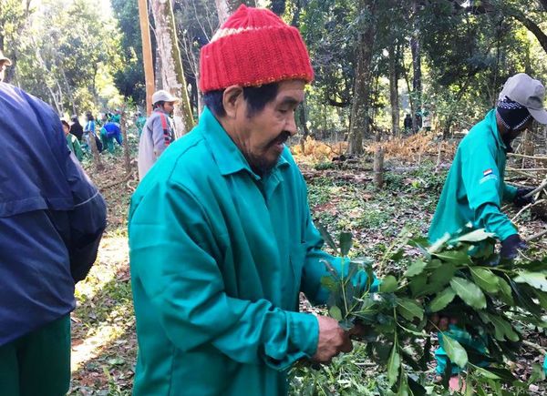 Presentarán documental “La reconquista de los bosques”, este viernes