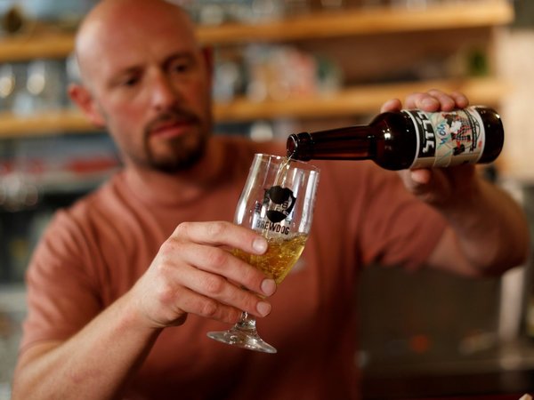 Científicos recrean cerveza antigua a partir de levadura milenaria