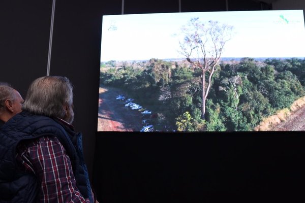 Humberto Rubin: "Sigamos plantando arboles, sigamos plantando vida'' » Ñanduti