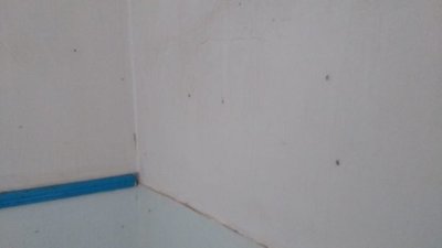 Hospital infestado de mosquitos - Cronicas Ciudadanas - ABC Color