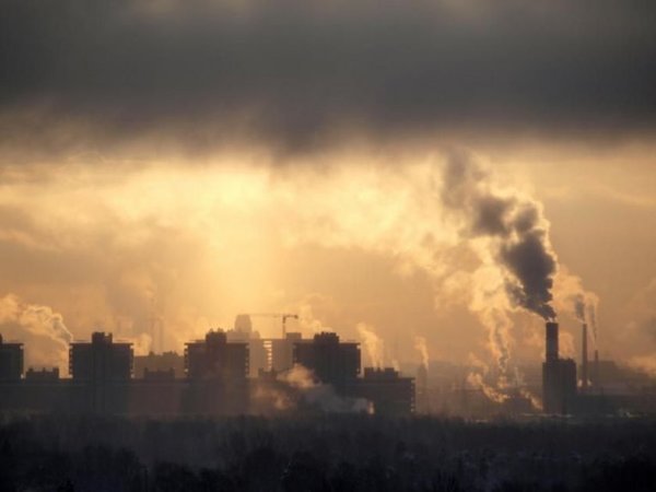 Toxinas ambientales pueden alterar la fertilidad de generaciones futuras - Ciencia - ABC Color