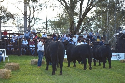 Expo Misiones se va posicionando - Edicion Impresa - ABC Color