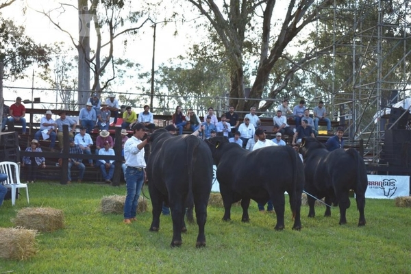 Expo Misiones se va posicionando - Edicion Impresa - ABC Color