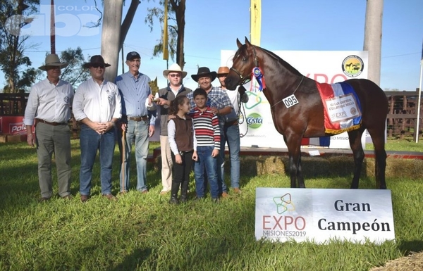 GRANDES CAMPEONES DE LA EXPO MISIONES 2019 - Edicion Impresa - ABC Color
