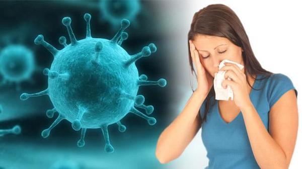 Influenza A, el virus que puede ser mortal
