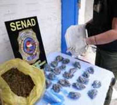 Cae mujer con 103 kilos de marihuana en Pedro Juan Caballero - Paraguay.com