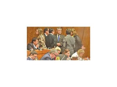 Diputados se ratifican en aplicar el desbloqueo con voto electrónico
