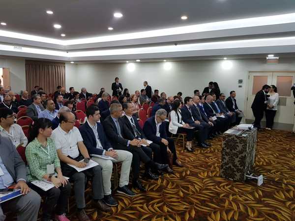 Alto Paraná despierta interés de inversionistas italianos