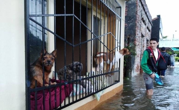 HOY / Río volvió a crecer en Pilar, pero se mantiene la alerta amarilla