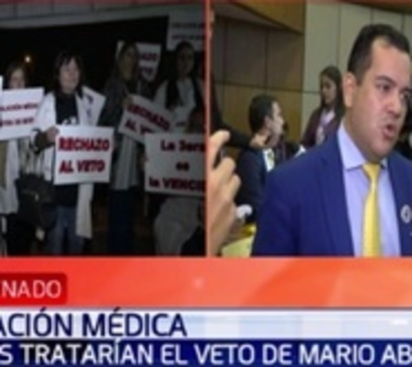 Senado define aceptar o rechazar veto por jubilación médica - Paraguay.com