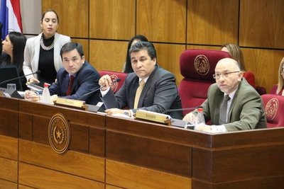 Giran a comisiones pedido de inspección de Banco Basa - ADN Paraguayo