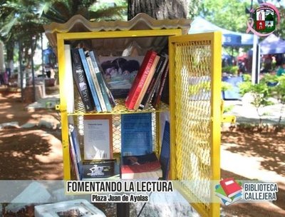 La buena lectura ahora viene en un buzón gracias a bibliotecas callejeras - Periodismo Joven - ABC Color