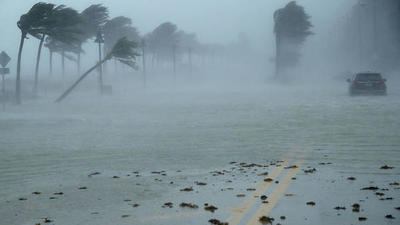 EE.UU. prevé hasta ocho huracanes en la temporada ciclónica en el Atlántico | .::Agencia IP::.