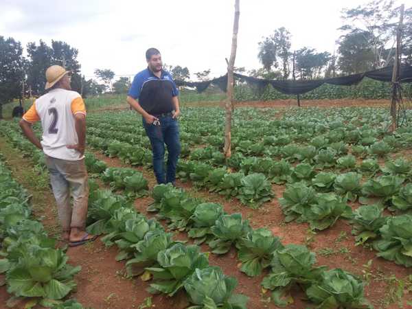 Productores reciben asistencia técnica del MAG en Concepción - ADN Paraguayo