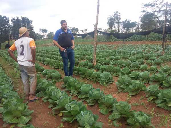 Productores reciben asistencia técnica del MAG en Concepción - ADN Paraguayo