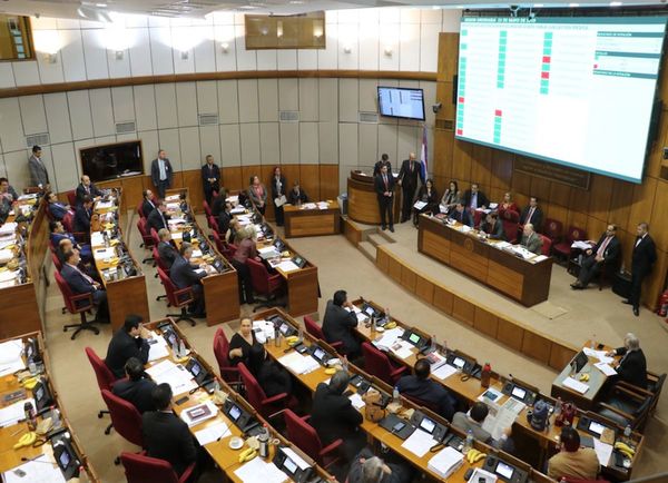 Rechazan por improcedente y poco serio pedido de inspección de Basa