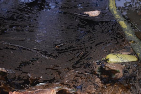 Combustible llegó a arroyo - Nacionales - ABC Color