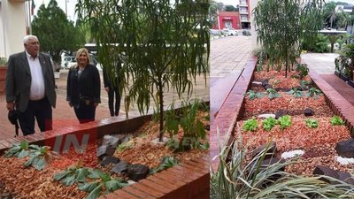UNA HUERTA EN EL ACCESO A LA GOBERNACIÓN Y EN ESCUELAS.