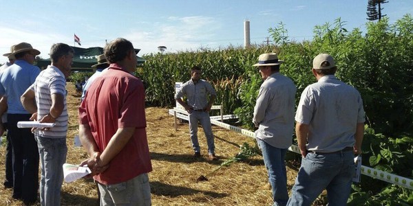 REFINANCIACIÓN DE DEUDAS ANTE BAJO RENDIMIENTO AGRÍCOLA Y CAÍDA DE PRECIOS