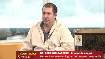 Agroquímicos amenazan la labor de las abejas