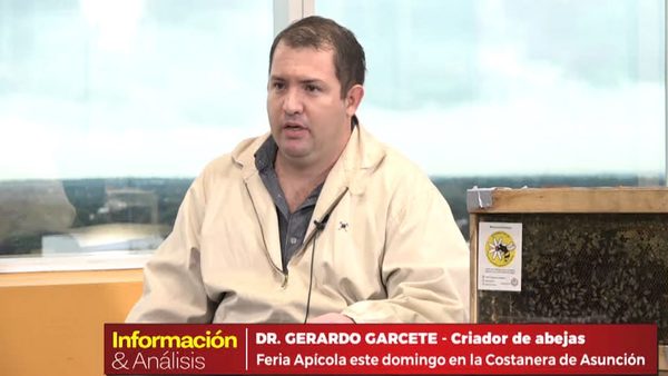 Agroquímicos amenazan la labor de las abejas