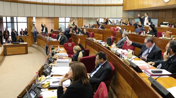 Senado envía a comisiones pedido de inspección a banco Basa