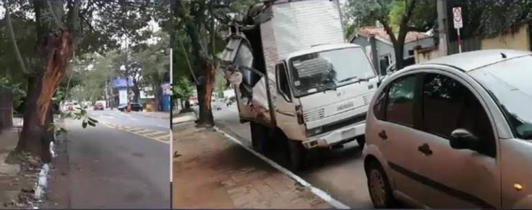 HOY / Camión choca contra rama de árbol y termina contra una muralla