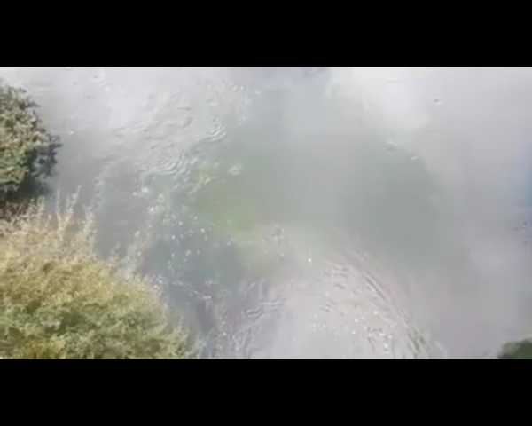 Vehículo choca y cae de puente en Yguazú, hay ahogados
