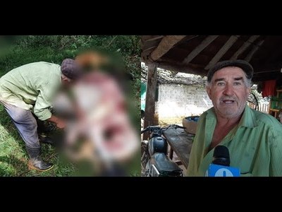 ABIGEOS OCASIONAN MILLONARIA PÉRDIDA A PRODUCTOR DE CHAIPE