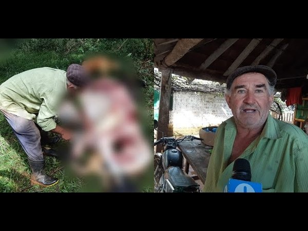 ABIGEOS OCASIONAN MILLONARIA PÉRDIDA A PRODUCTOR DE CHAIPE