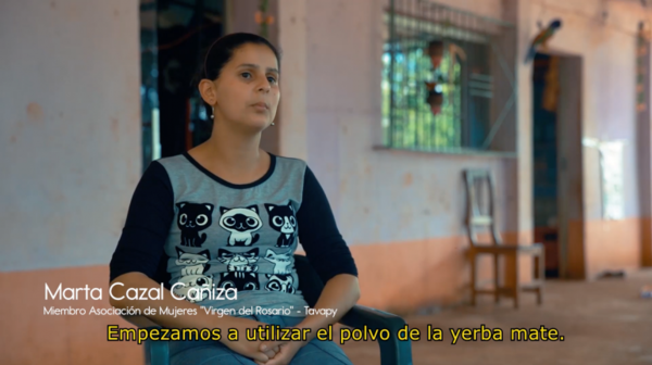 HOY / 'Cosa de mujeres': innovar en yerba y comercializar hasta US$ 11 el kilo, plan está en marcha