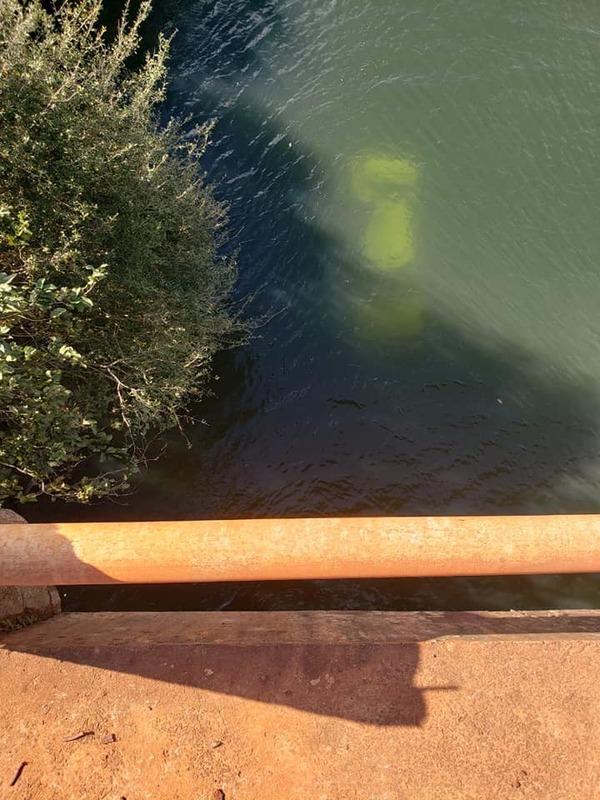 Rescatan a uno de los ocupantes de vehículo que cayó al río Yguazú - ADN Paraguayo