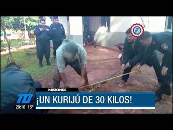 Hallan kuriju de 30 kilos en Misiones