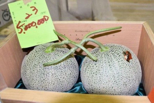 Melones alcanzan precio récord