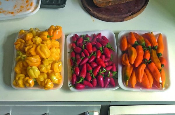 La cocina del futuro estudiando el pasado - Edicion Impresa - ABC Color