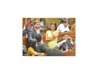 Promocionada unidad de colorados en la Cámara de Diputados no funciona